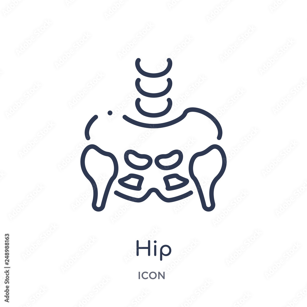Obraz premium hip icon from people outline collection. Thin line hip icon isolated on white background.