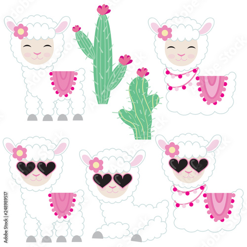Llama vector cartoon illustration