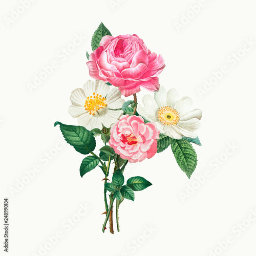 Pink and white roses