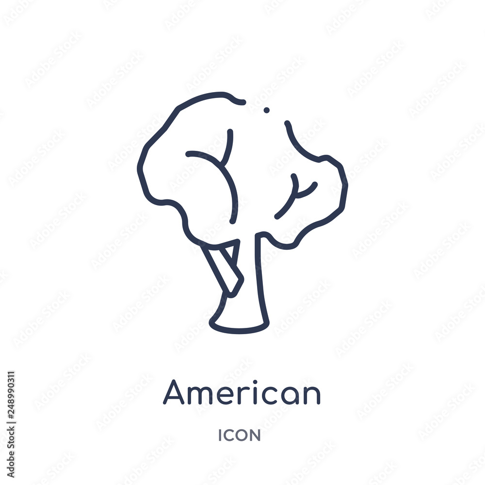 american hornbeam tree icon from nature outline collection. Thin line american hornbeam tree icon isolated on white background. american hornbeam tree icon from nature outline collection. Thin line american hornbeam tree icon isolated on white background.