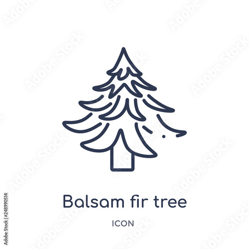 balsam fir tree icon from nature outline collection. Thin line balsam fir tree icon isolated on white background.