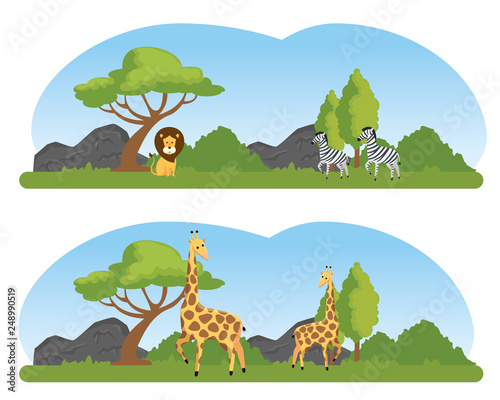 set wild animals in the nature safari reserve