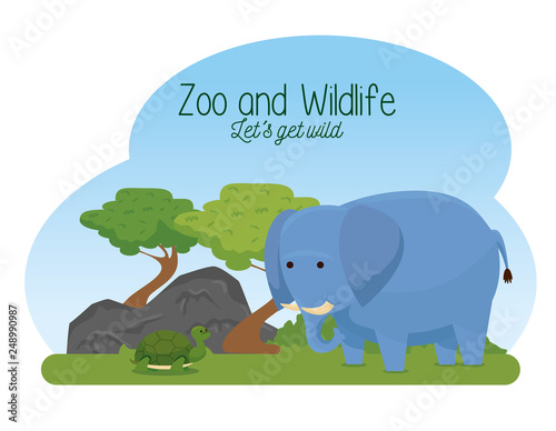 elephant and turtle wild animals with trees