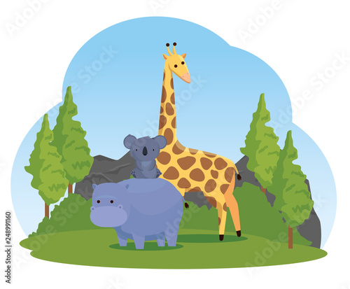 hippopotamus with koala and giraffe wild animals