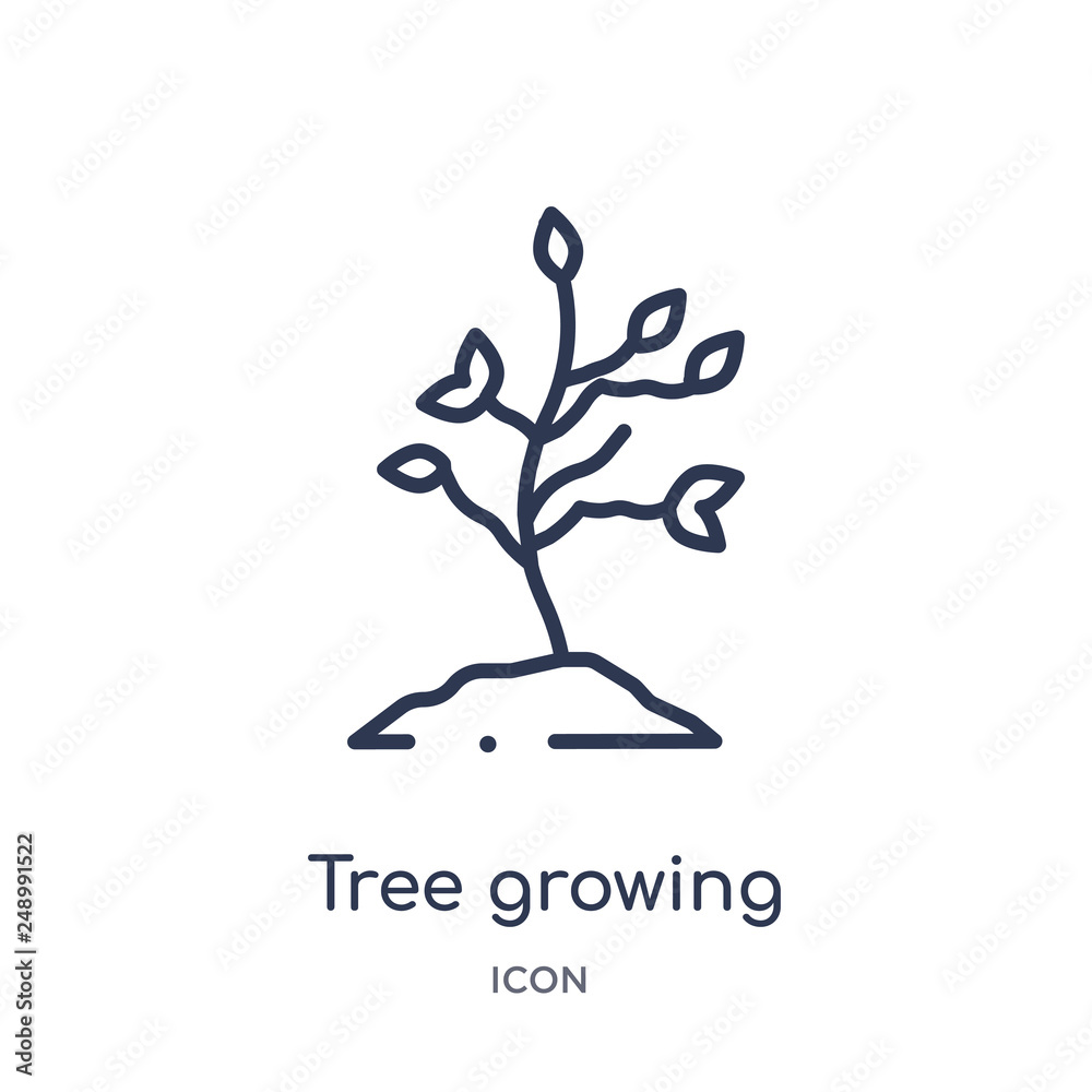 tree growing icon from nature outline collection. Thin line tree growing icon isolated on white background.