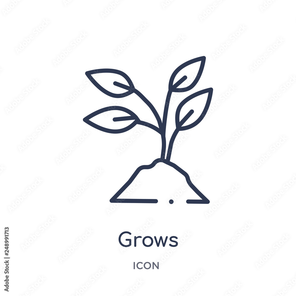 grows icon from nature outline collection. Thin line grows icon isolated on white background.