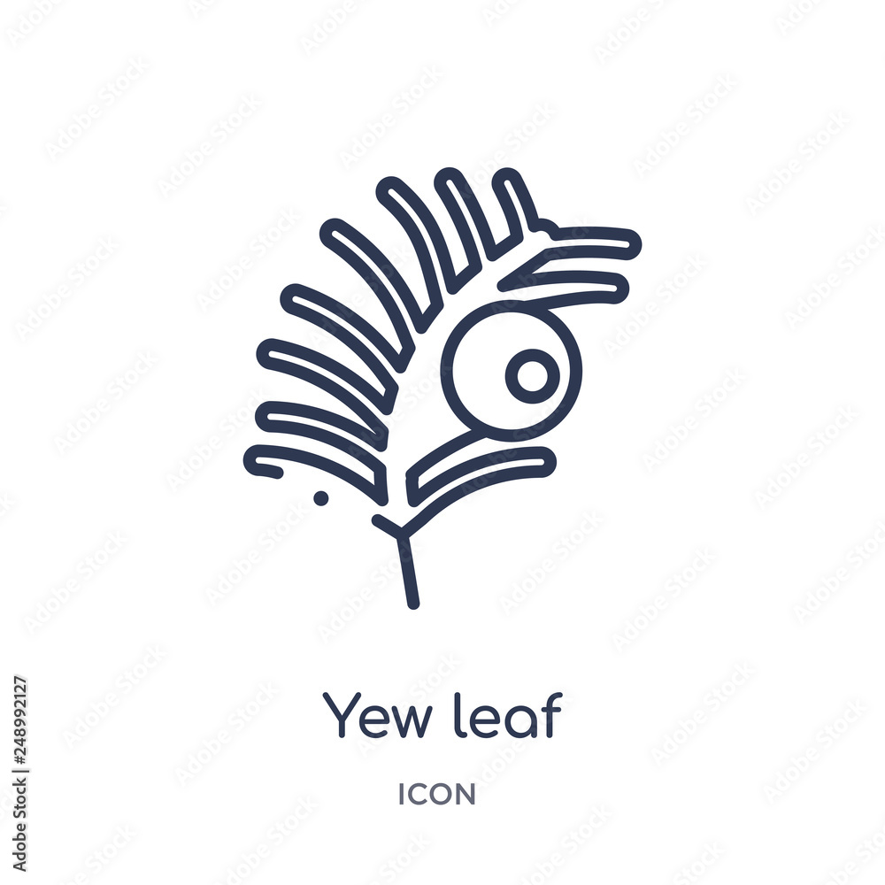 yew leaf icon from nature outline collection. Thin line yew leaf icon isolated on white background.