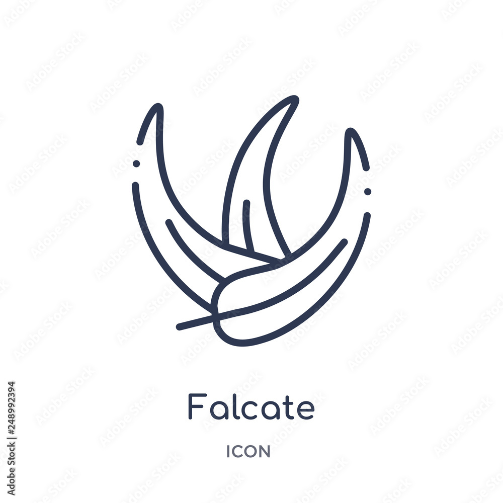 Obraz premium falcate icon from nature outline collection. Thin line falcate icon isolated on white background.