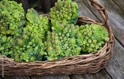 broccoli in the basket