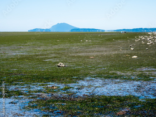 Low tide coastal scenery at Bay View State Park, WA, USA, with views across Padilla Bay to San Huan Islands photo