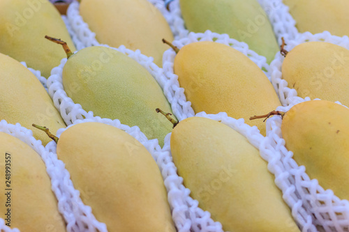 Organic Nam Dok Mai mangoes for sale at the fruit market. The Nam Doc Mai (Nam Dok Mai) mango is a mango cultivar which originated in Thailand. It is the most popular mango variety in Thailand. photo