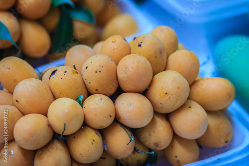 Plango fruit or Marian Plum, famous tropical fruit in Thailand for sale. Tropical fruit Marian plum, Plango, Maprang or Mayongchid (Bouae bumanica Griff)