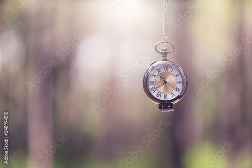 Vintage Pocket watch with nature background