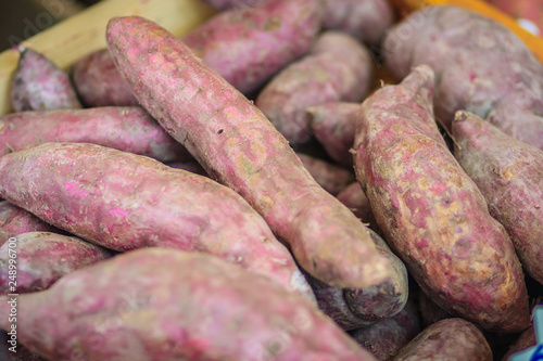 Organic Japanese sweet potatoes for sale at the local fresh market with price tag. Roasted sweet potato is a popular winter street food in East Asia. Purple and yellow sweet potatoes on sale.