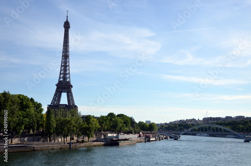 eiffel tower in paris © Roy