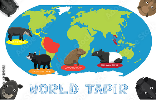 Tapir Distribution World Map Cartoon Vector