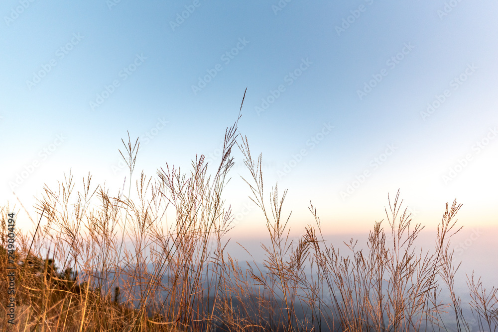 Fototapeta premium Góra Sukhothai w Tajlandii