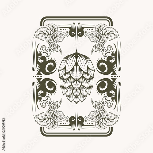 hop fruit decoration vector illustration