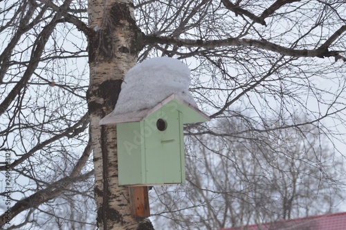 homemade birdhouse on the tree.