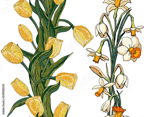 Vector floral seamless pattern with yellow tulips and daffodils (narcissus). White background