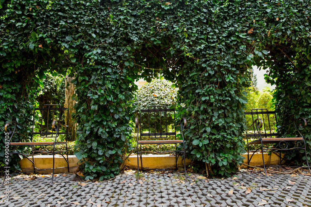 Chair, Formal Garden, Furniture, Lawn, Playground