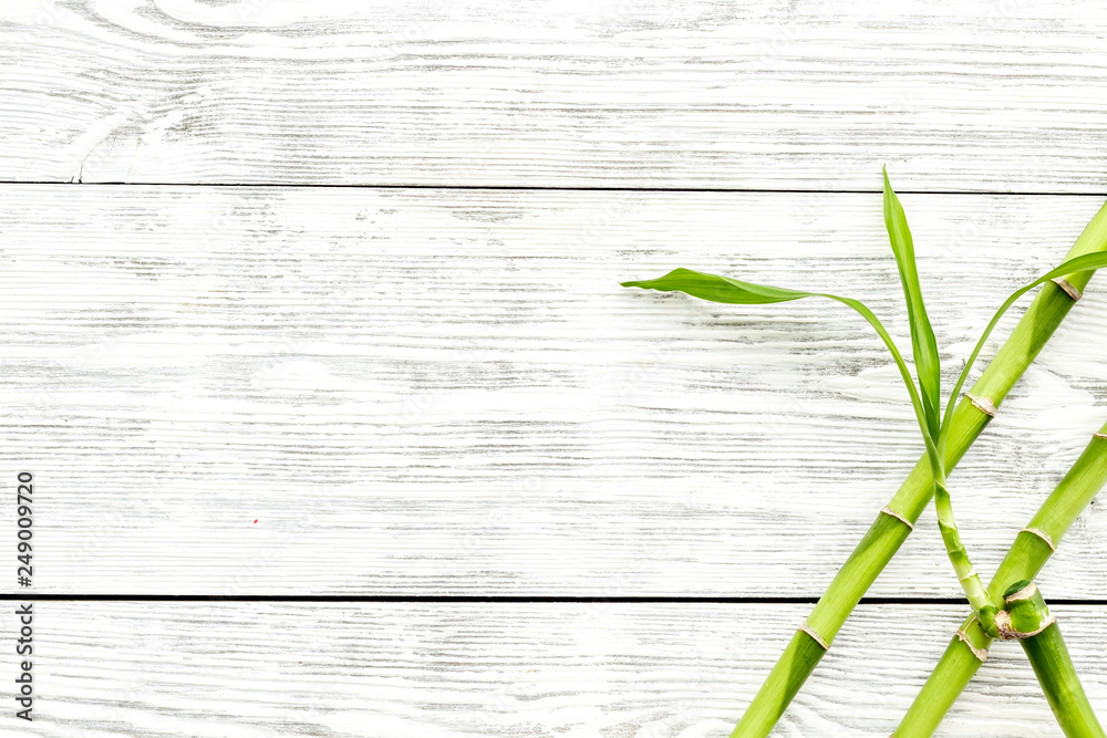 Asian background. Green bamboo branches on white wooden background top view space for text