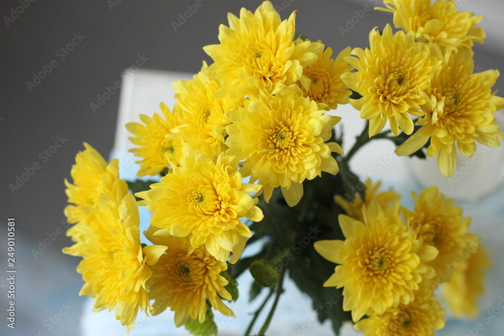 bouquet of yellow flowers on black background bouquet of yellow flowers on black background