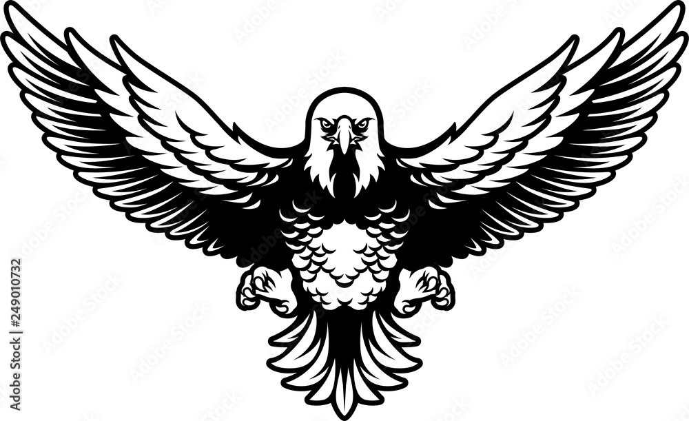 Fototapeta premium American Bald Eagle with Open Wings and Claws in Black and White
