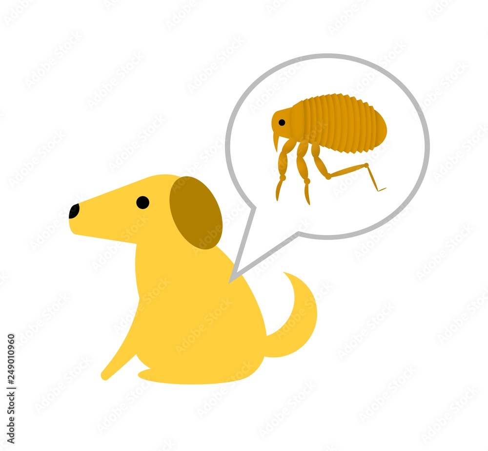 犬に寄生するノミ Stock イラスト Adobe Stock 犬に寄生するノミ Stock イラスト Adobe Stock