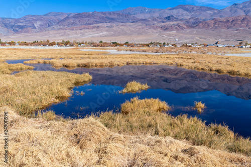 Mountains reflected in a marsh at Owens Lake near Keeler  California  USA