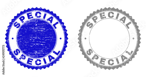 Grunge SPECIAL stamp seals isolated on a white background. Rosette seals with grunge texture in blue and gray colors. Vector rubber stamp imprint of SPECIAL title inside round rosette.