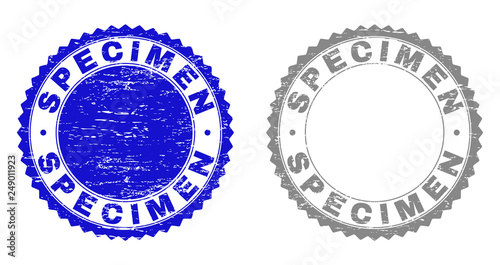 Grunge SPECIMEN stamp seals isolated on a white background. Rosette seals with grunge texture in blue and grey colors. Vector rubber stamp imitation of SPECIMEN text inside round rosette.