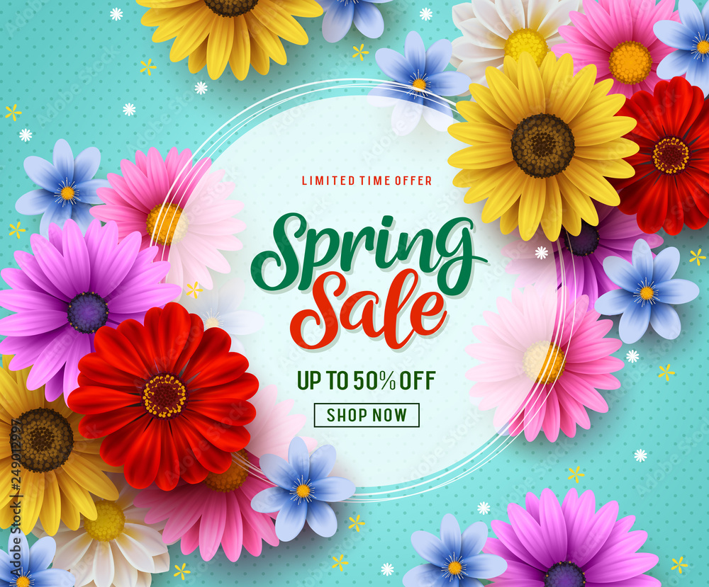 Spring sale vector banner template with colorful flowers elements like chrysanthemum and daisy in the background and spring season discount promotional text in white frame. - obrazy, fototapety, plakaty 