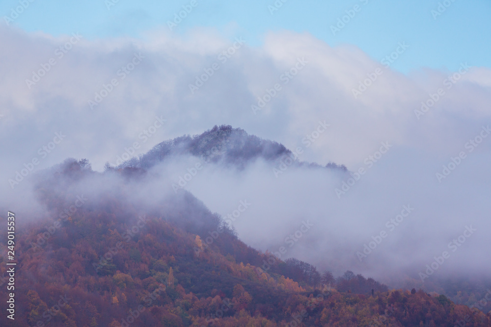 Beautiful autumn scenery in the mountains with mist clouds, pine trees and colorful foliage