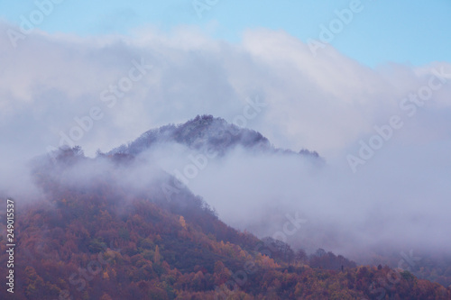 Beautiful autumn scenery in the mountains with mist clouds, pine trees and colorful foliage © Calin Tatu