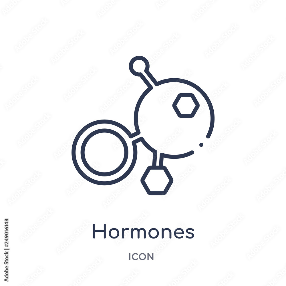 hormones icon from sauna outline collection. Thin line hormones icon isolated on white background. - obrazy, fototapety, plakaty 