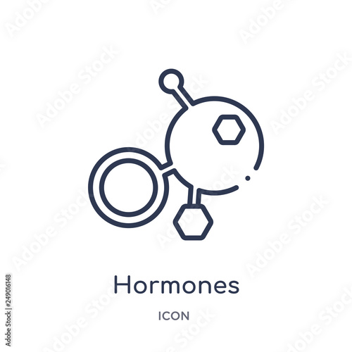 hormones icon from sauna outline collection. Thin line hormones icon isolated on white background.
