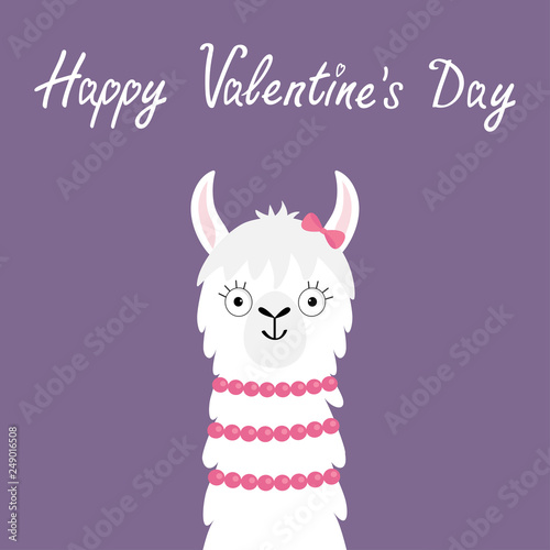 Happy Valentines Day. Llama alpaca girl animal face head neck. Cute cartoon funny kawaii smiling baby character. No drama. Love greeting card. Flat design. Violet background.