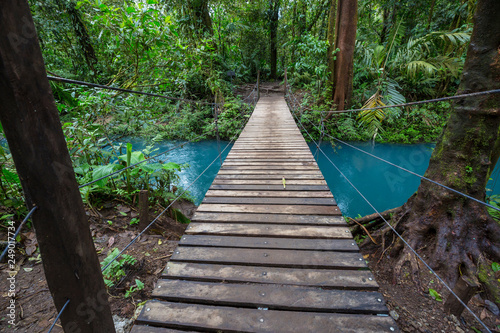 Jungle in Costa Rica