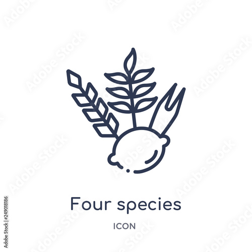 four species icon from religion outline collection. Thin line four species icon isolated on white background.