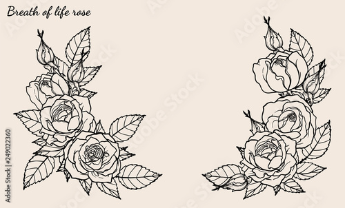 Rose ornament vector set by hand drawing.Beautiful flower on brown background.Rose art highly detailed in line art style.Breath of life rose for wallpaper or tattoo.