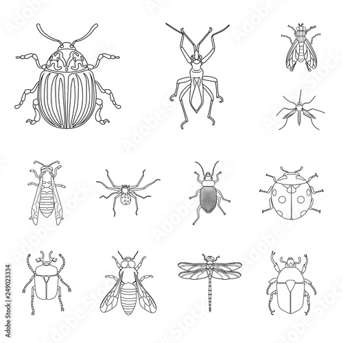 Vector design of insect and fly logo. Collection of insect and element stock vector illustration.