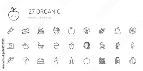 organic icons set