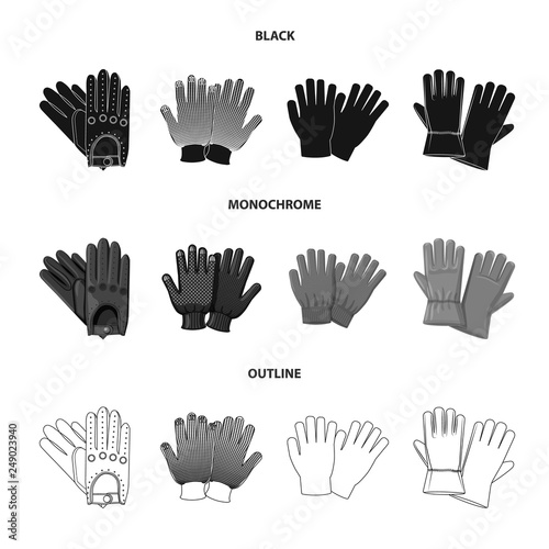 Vector design of glove and winter symbol. Collection of glove and equipment stock symbol for web.