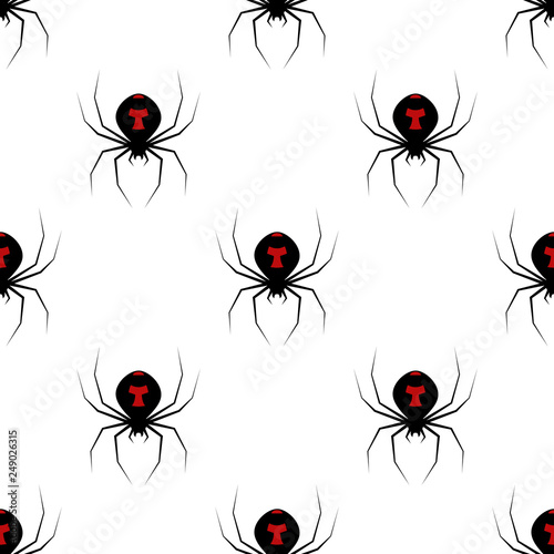 spider black widow, pattern in staggered order © Anastasiia Kolpakova