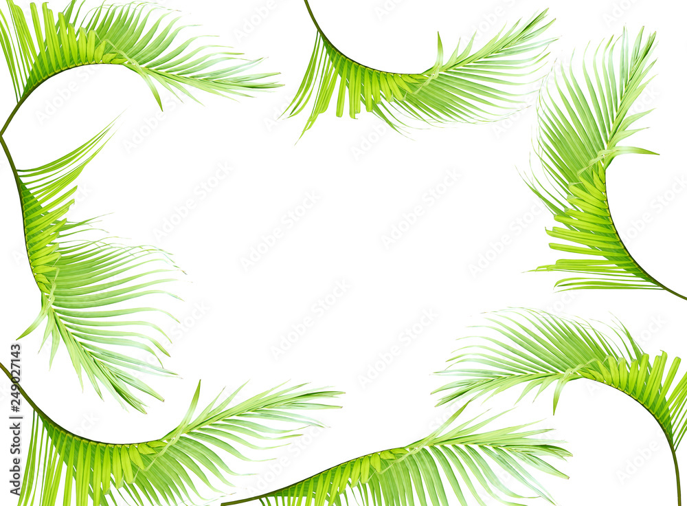 Naklejka premium tropical green palm leaves on white for summer background
