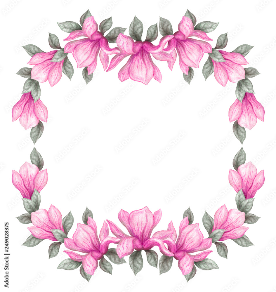 Hand drawn painting watercolor pencils and paints pink magnolia flowers isolated on white background