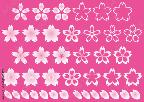 桜1d