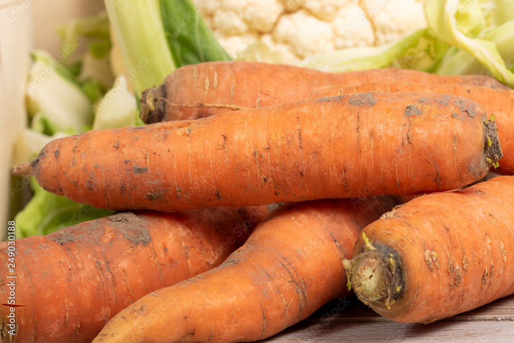 close-up of organic carrots of the garden close-up of organic carrots of the garden
