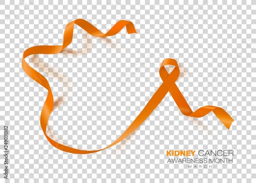 National Kidney Cancer Awareness Month. Orange Color Ribbon Isolated On Transparent Background. Vector Design Template For Poster.